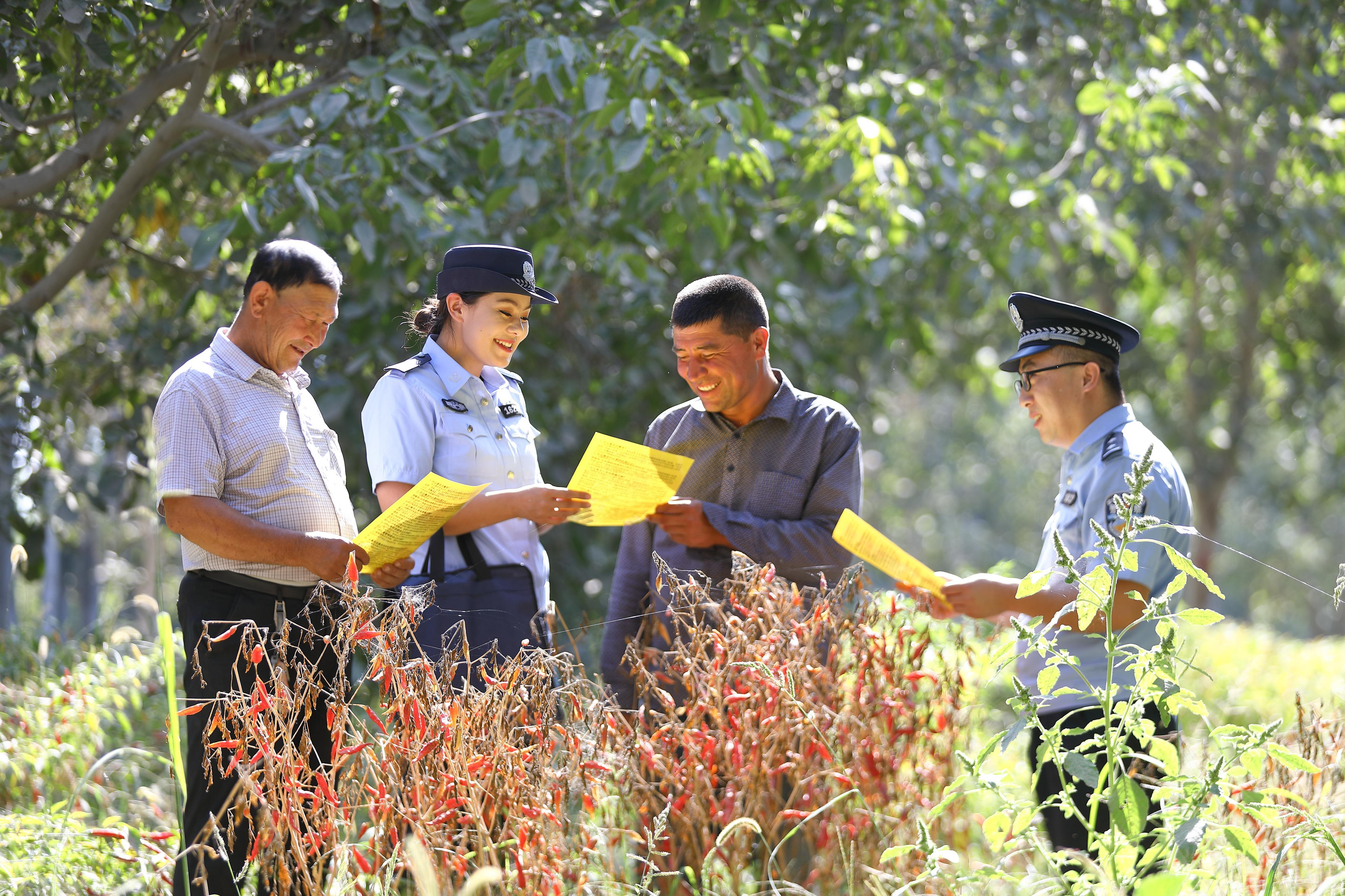 ??新疆葉城：紅辣滿田疇 警務(wù)護(hù)豐收